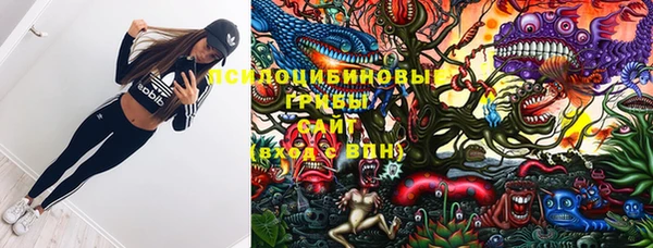 героин Михайлов