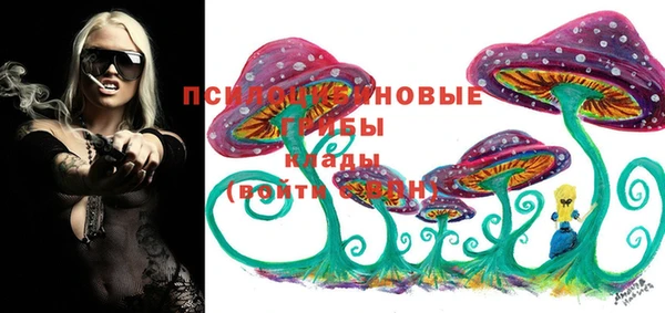 a pvp Михайловка