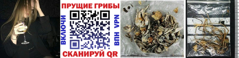 MEGA ссылки  Шарья  Галлюциногенные грибы GOLDEN TEACHER 