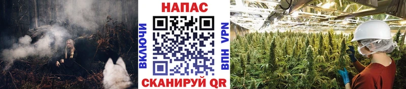 Канабис ГИДРОПОН  гидра онион  Шарья 